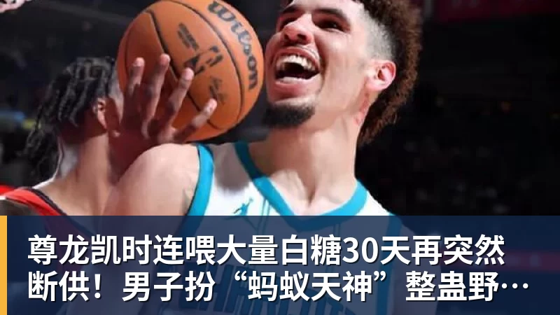 尊龙凯时连喂大量白糖30天再突然断供!男子扮“蚂蚁天神”整蛊野生蚁群