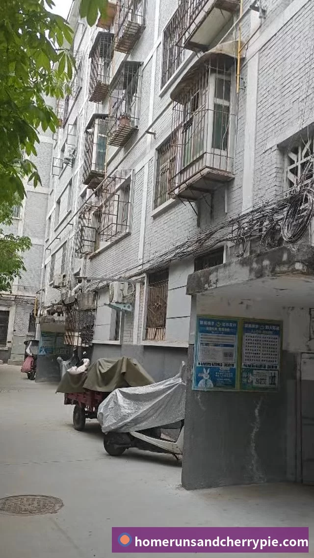 服务入口